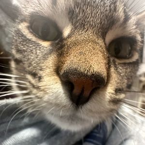 Meet your Posher, Daniella